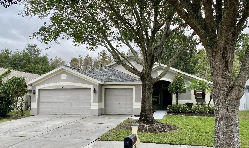 19713 Ellendale Drive Land O Lakes FL 34638