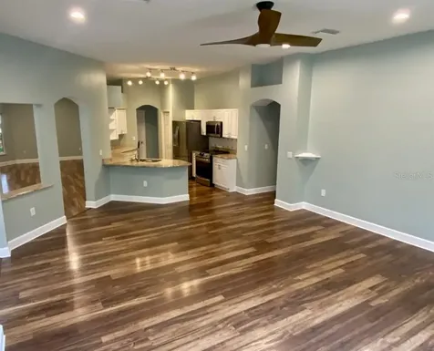 19713 Ellendale Drive Land O Lakes FL 34638