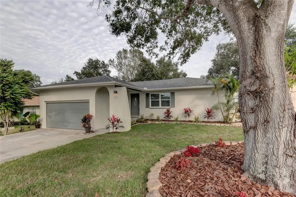3174 Orchard Drive Palm Harbor FL 34684