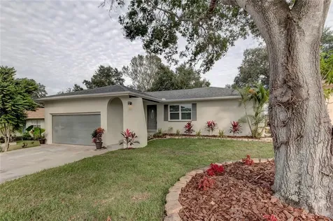 3174 Orchard Drive Palm Harbor FL 34684