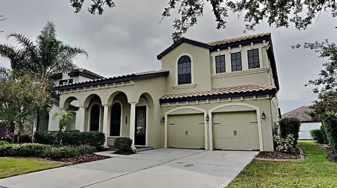 8223 Dunham Station Drive Tampa FL 33647