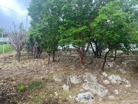 San Jacinto Guanica PR 00653