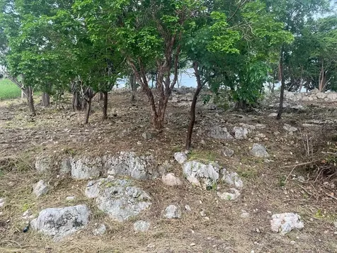 San Jacinto Guanica PR 00653