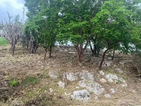 San Jacinto Guanica PR 00653