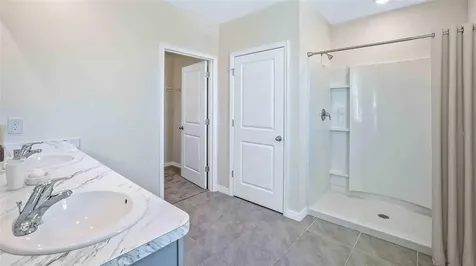 33424 Apricot Tree Court Wesley Chapel FL 33543