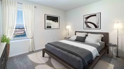 33424 Apricot Tree Court Wesley Chapel FL 33543