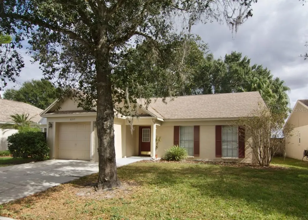 8217 Natchez Street Tampa FL 33637