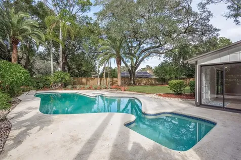 4509 Old Orchard Drive Tampa FL 33618
