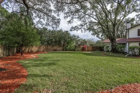 4509 Old Orchard Drive Tampa FL 33618