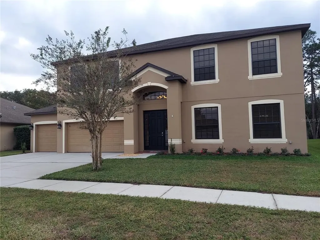 10702 Rain Lilly Pass Land O Lakes FL 34638