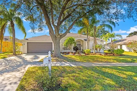 22522 Magnolia Trace Boulevard Lutz FL 33549