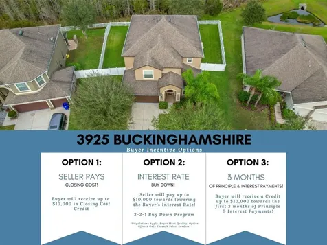 3925 Buckinghamshire Drive Land O Lakes FL 34638