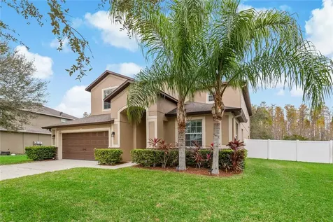 3925 Buckinghamshire Drive Land O Lakes FL 34638