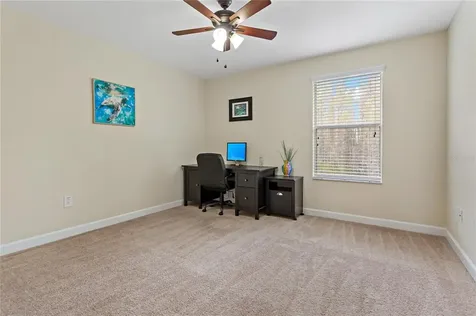 3925 Buckinghamshire Drive Land O Lakes FL 34638