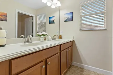 3925 Buckinghamshire Drive Land O Lakes FL 34638