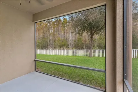 3925 Buckinghamshire Drive Land O Lakes FL 34638