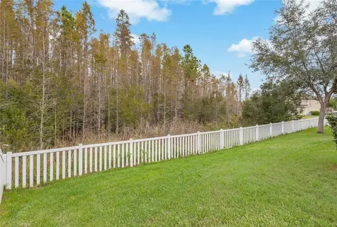 3925 Buckinghamshire Drive Land O Lakes FL 34638