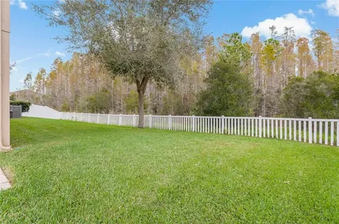 3925 Buckinghamshire Drive Land O Lakes FL 34638