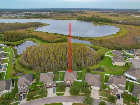 3925 Buckinghamshire Drive Land O Lakes FL 34638
