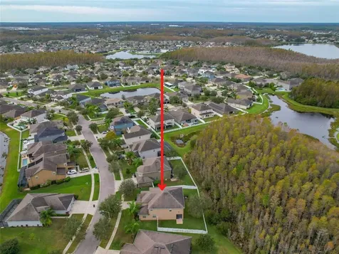 3925 Buckinghamshire Drive Land O Lakes FL 34638