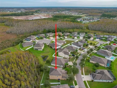 3925 Buckinghamshire Drive Land O Lakes FL 34638