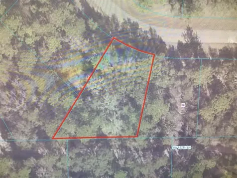 SW 60th Circle Ocala FL 34473