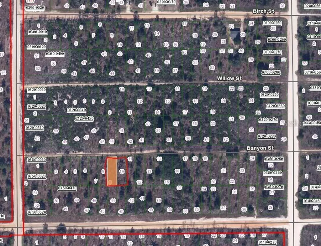 00 Banvon Street Interlachen FL 32148