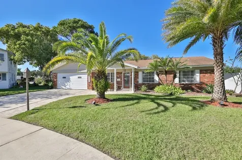8725 Cobblestone Drive Tampa FL 33615