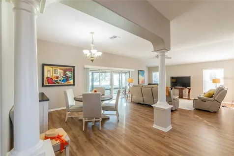1250 James Island Street The Villages FL 32162