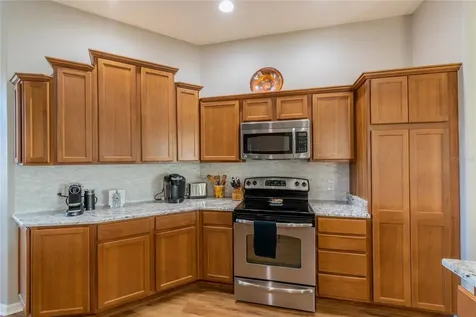 1250 James Island Street The Villages FL 32162