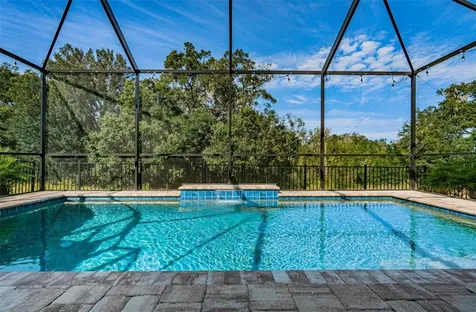 14247 Natures Reserve Drive Lithia FL 33547
