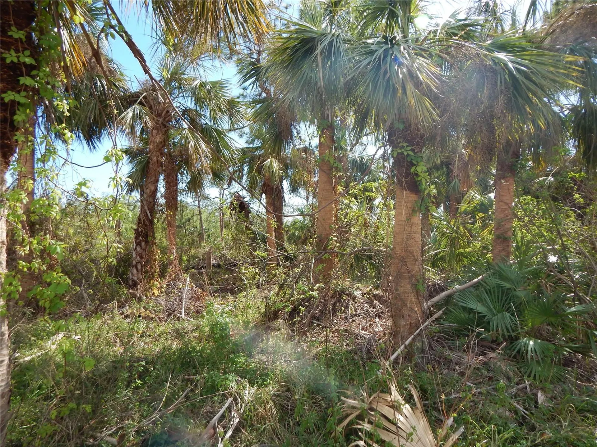 1292 Eppinger Drive Port Charlotte FL 33953