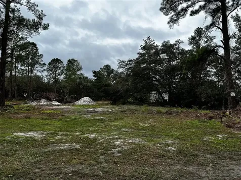 41741 Sweet Bay S Deland FL 32720