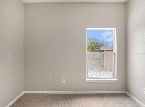 4453 Horseshoe Pick Lane Valrico FL 33594