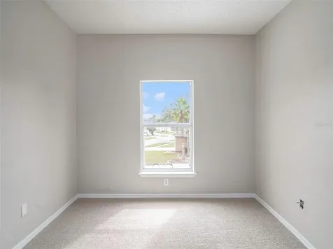 4453 Horseshoe Pick Lane Valrico FL 33594