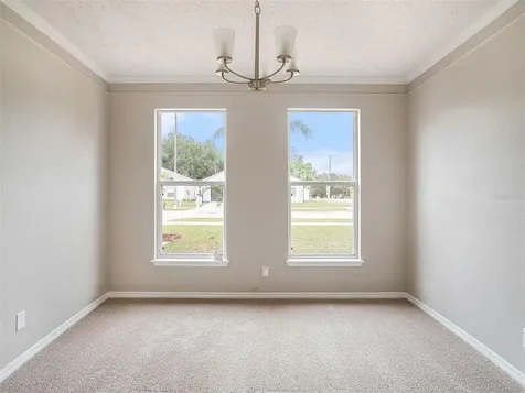 4453 Horseshoe Pick Lane Valrico FL 33594