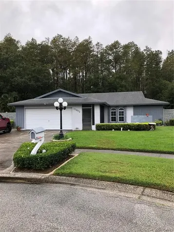 13902 Bittersweet Way Tampa FL 33625