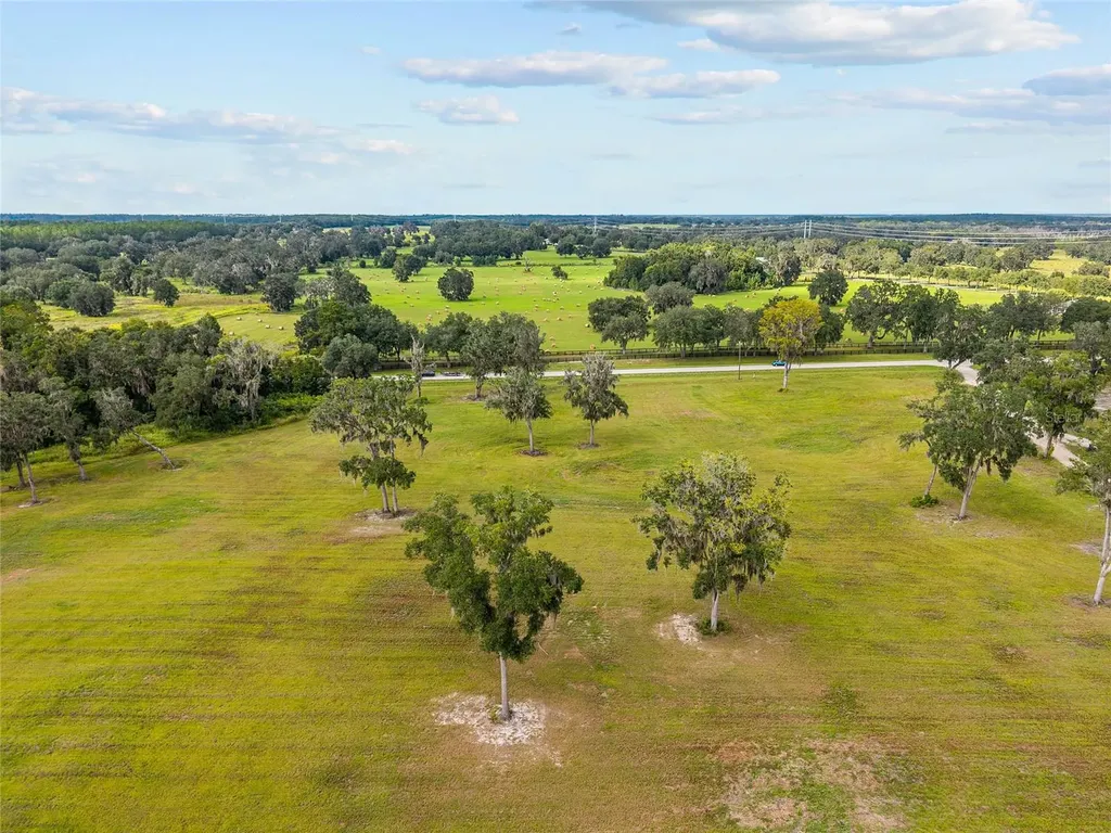 Tbd W 316 Highway Reddick FL 32686