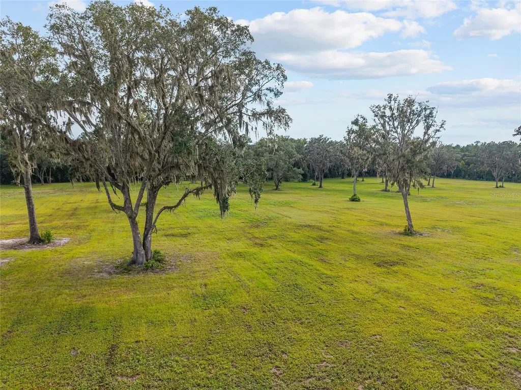 Tbd W 316 Highway Reddick FL 32686