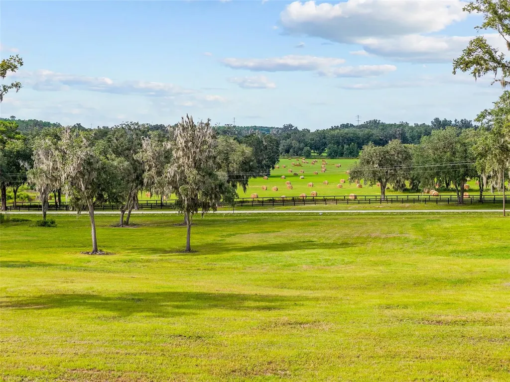 Tbd W 316 Highway Reddick FL 32686
