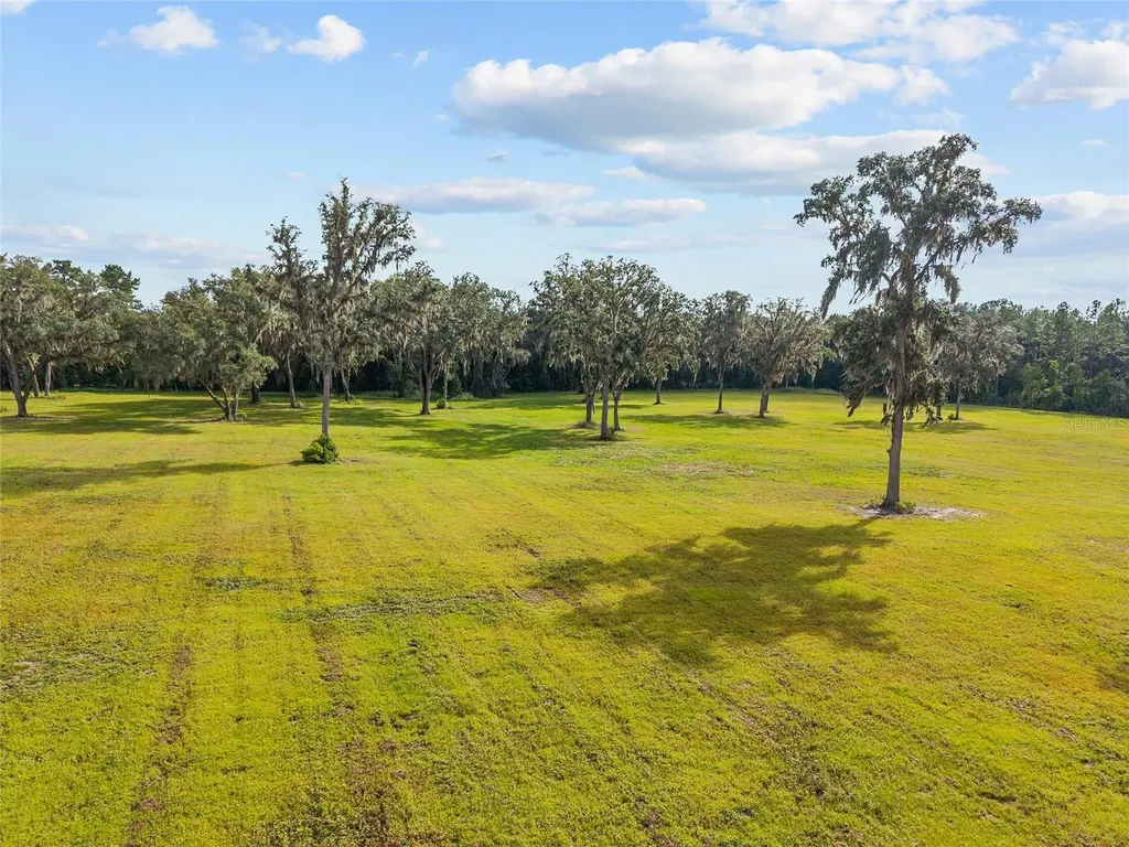 Tbd W 316 Highway Reddick FL 32686