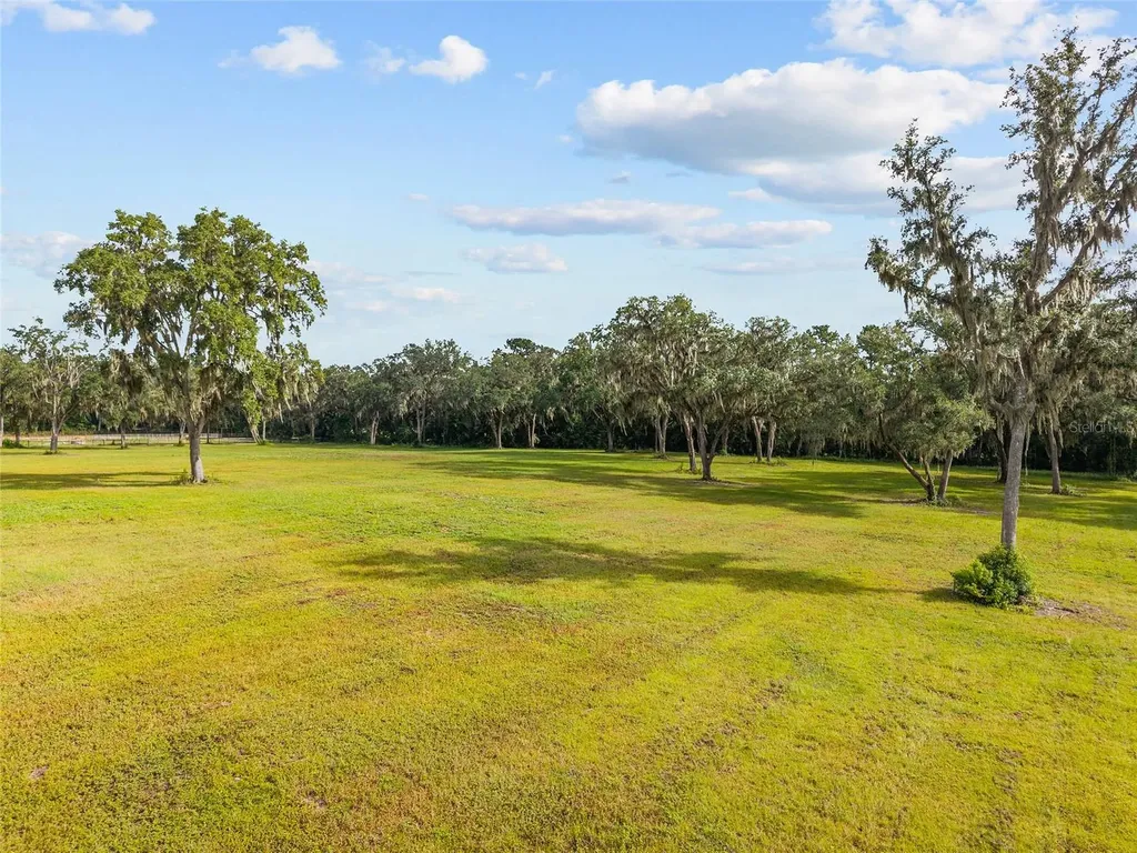 Tbd W 316 Highway Reddick FL 32686