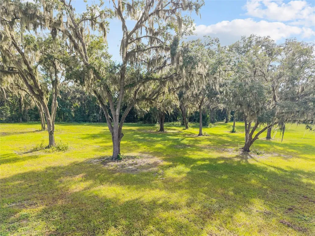 Tbd W 316 Highway Reddick FL 32686