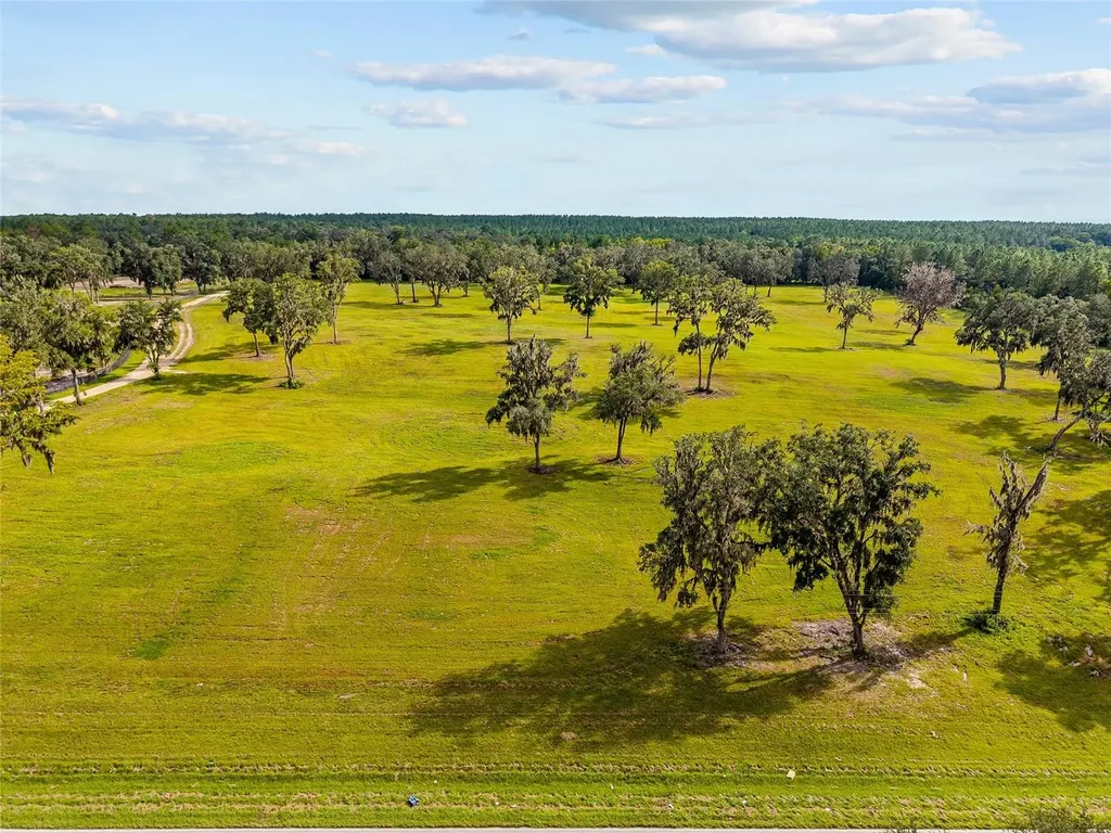 Tbd W 316 Highway Reddick FL 32686