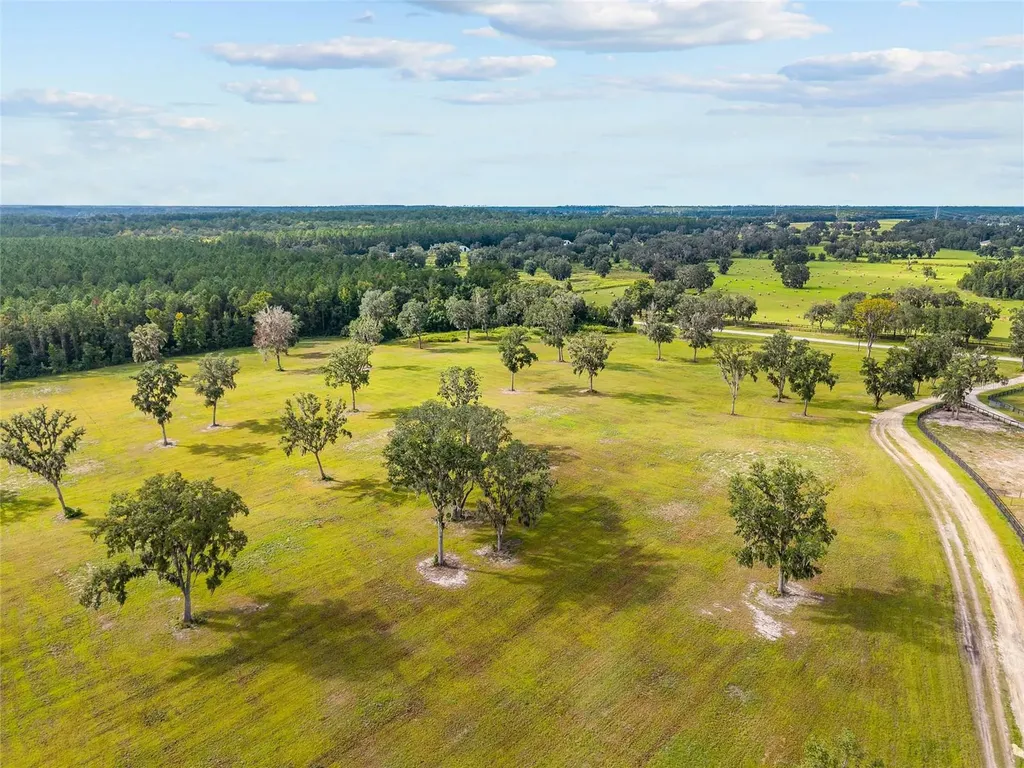 Tbd W 316 Highway Reddick FL 32686