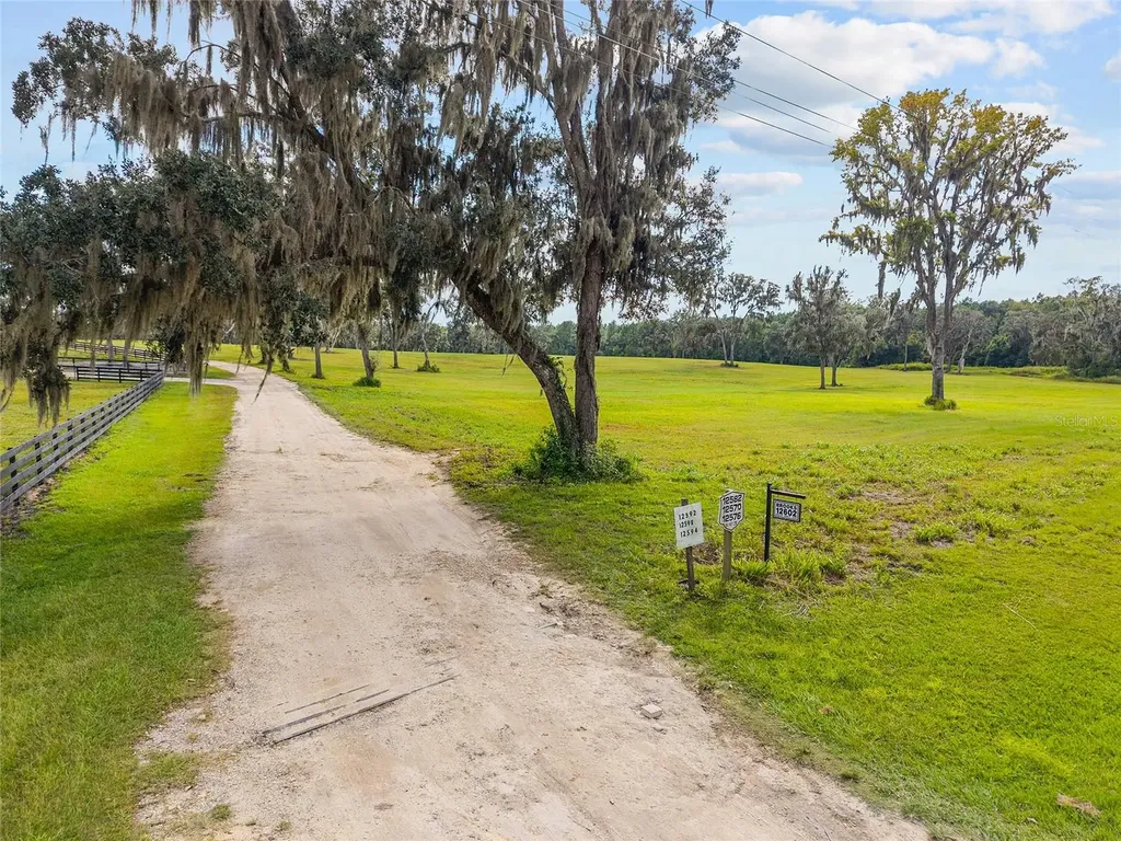Tbd W 316 Highway Reddick FL 32686