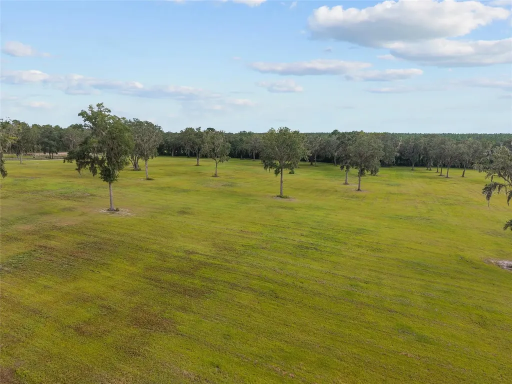 Tbd W 316 Highway Reddick FL 32686