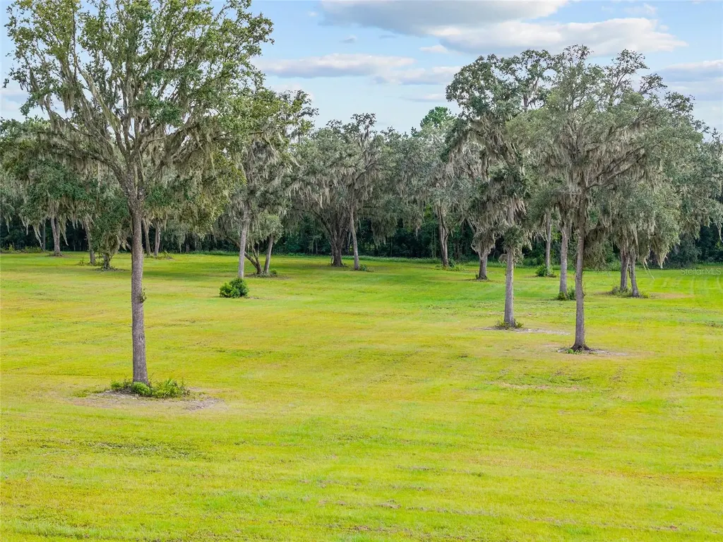 Tbd W 316 Highway Reddick FL 32686