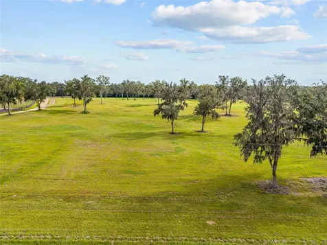 Tbd W 316 Highway Reddick FL 32686