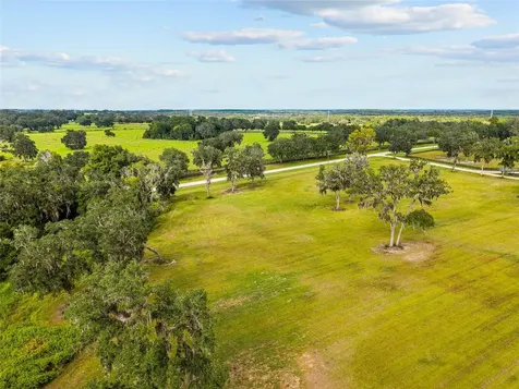 Tbd W 316 Highway Reddick FL 32686